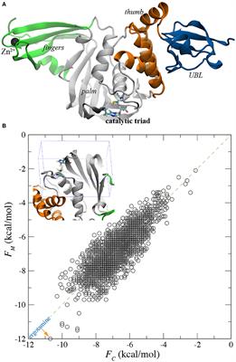 In silico Exploration of Inhibitors for SARS-CoV-2's Papain-Like Protease